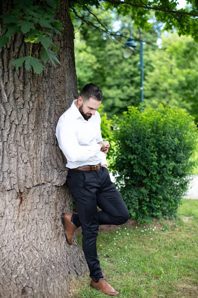 Portrait Confident Businessman While Standing Outdoors Park — Stock Photo, Image