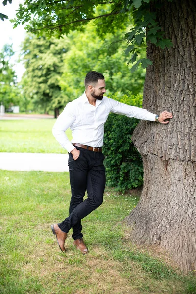 Portret Van Vertrouwen Zakenman Terwijl Permanent Buitenshuis Park — Stockfoto