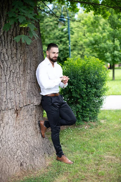 Porträtt Säker Affärsman Samtidigt Som Står Utomhus Parken — Stockfoto