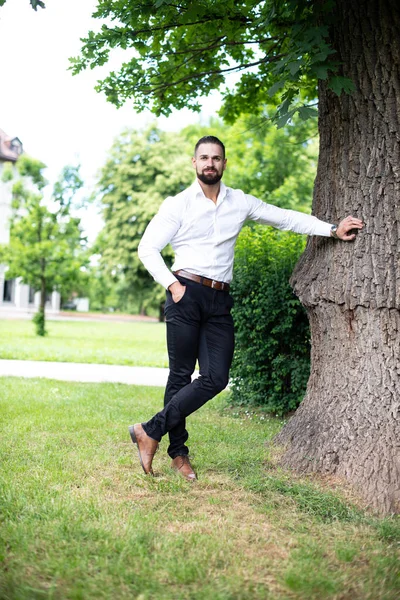 Porträt Eines Selbstbewussten Geschäftsmannes Der Draußen Park Steht — Stockfoto