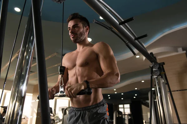 Spor salonunda makinede Triceps için ağır egzersiz yaparak genç kas Fitness vücut geliştirmeci