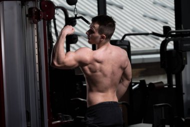 Yakışıklı Genç Adam Spor Salonunda Güçlü Duruyor ve Kaslarını Geriyor - Kas Atletik Vücut Geliştirici Spor Sonrası Spor Pozisyonu