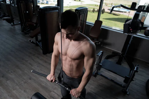 年轻肌肉健身健美运动员做重机在健身房里的三头肌锻炼 — 图库照片