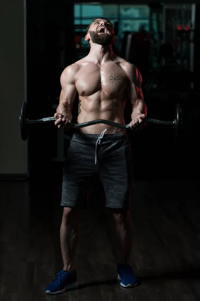 Atléta Tornateremben Bicepsz Fürtök Egy Súlyzóval — Stock Fotó