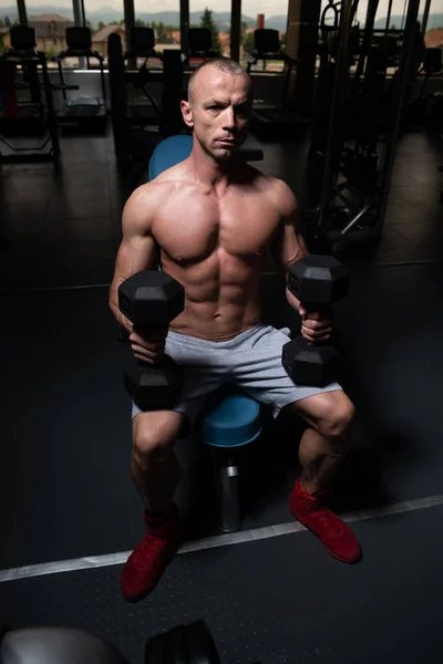 Atleta Ejercitando Bíceps Gimnasio Dumbbell Concentration Curls — Foto de Stock