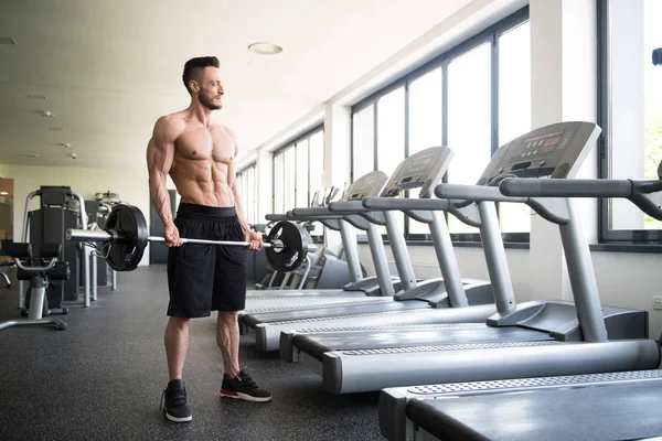 Atleta Ejercitando Bíceps Gimnasio Dumbbell Concentration Curls —  Fotos de Stock