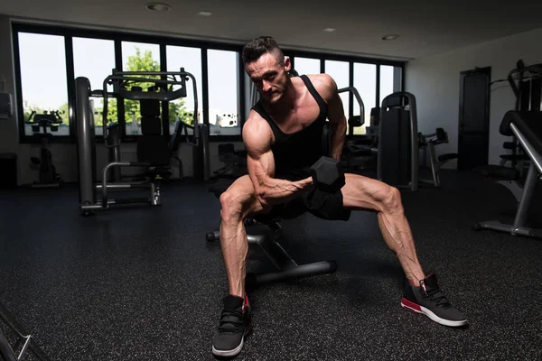 Atleta Che Lavora Fuori Bicipiti Una Palestra Dumbbell Concentration Curls — Foto Stock