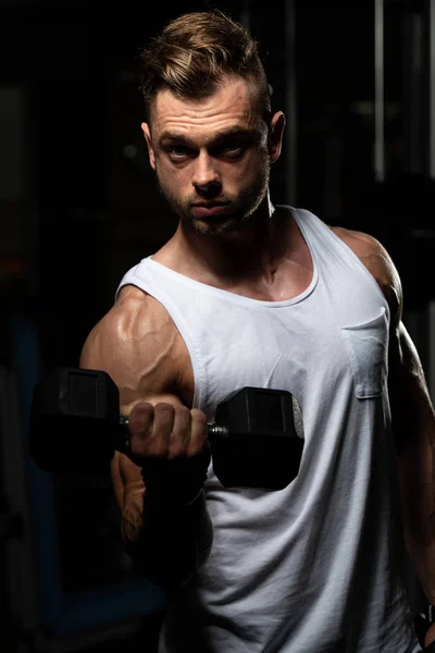 Athlete Working Out Biceps Gym Dumbbell Concentration Curls — Stock Photo, Image