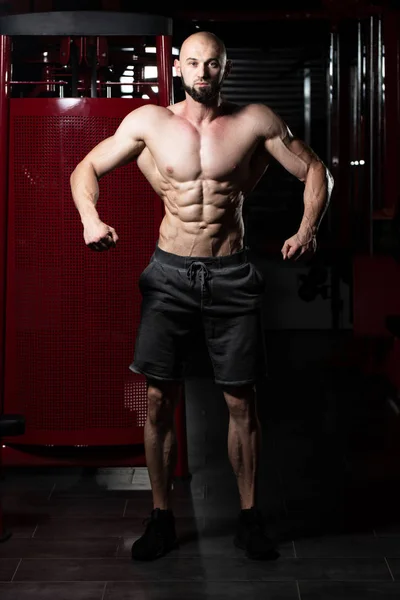 Portrét muže svalnatý Fitness — Stock fotografie