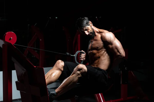 Muscular Man Doing Heavy Weight Exercise For Back — Stock Photo, Image