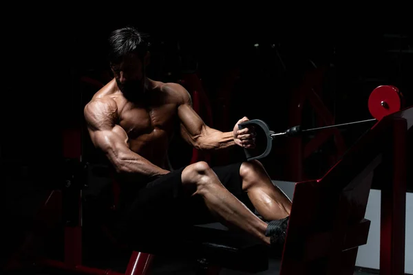 Culturista haciendo ejercicio de vuelta en el gimnasio — Foto de Stock