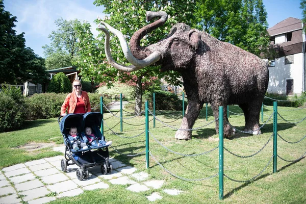 Madre Feliz Con Bebés Paseante Caminando Zoológico Disfrutando Del Día —  Fotos de Stock