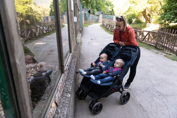 Gelukkig Jong Moeder Met Baby Buggy Wandelen Zoo Park — Stockfoto