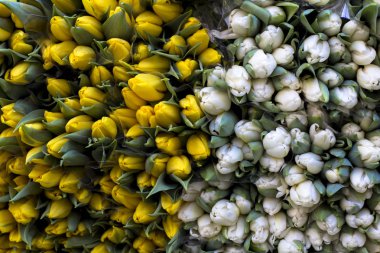 piyasada bir taze bahar buket sarı ve beyaz laleler dokusuna.