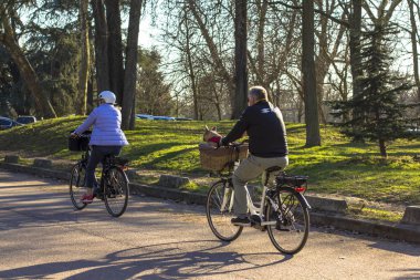 yaşlı çift bir köpek ile parkta Bisiklete binme. Bir bisiklet üzerinde bir adamla bir sepet içinde belgili tanımlık köpek oturur