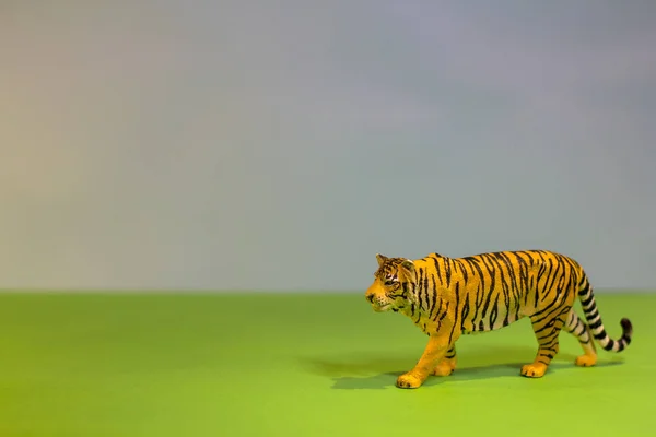 Comme un vrai tigre. Tigre jouet sur fond de studio lumineux. Eco jouets . — Photo