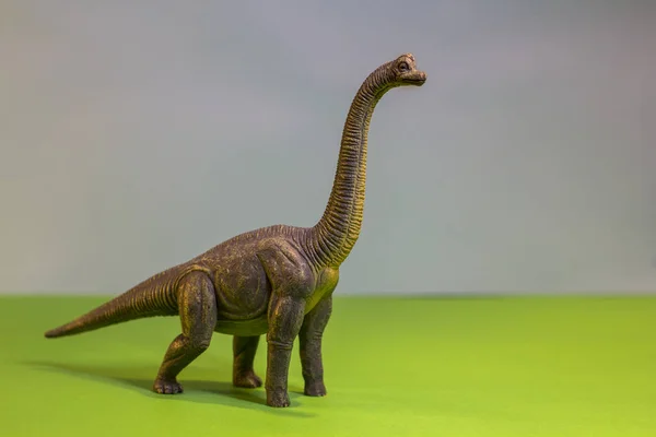Dinosaure jouet dans une forêt de jouets. comme un vrai T-rex sur un fond de studio lumineux avec des arbres en bois. Eco jouets . — Photo