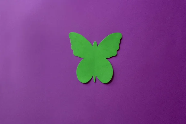 Green butterfly made of soft material on a violet background. Artificial butterfly on bright background. — Stock Photo, Image