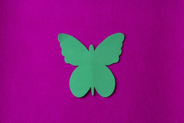 Papillon vert en matériau doux sur fond de chiffon fuchsia — Photo