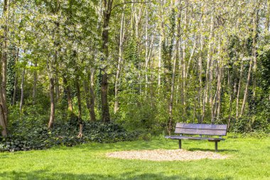 Çiçekli bir parkta patika. Yeşil ve çiçekli ağaçlar. Parlak gozon. Parkta tezgah ve etrafında çiçekli ağaçlar.