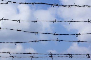 Mavi gökyüzüne karşı dikenli tel. Mavi gökyüzü dikenli tellerle kaplı. Hapishane ve mavi bulutlu gökyüzü.