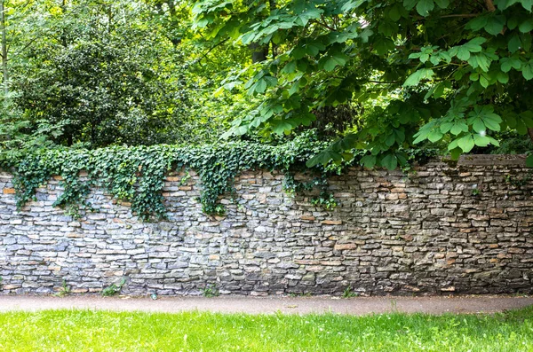 Pared de piedra cubierta de vegetación. Espesuras verdes detrás de la pared. El camino a lo largo de la pared entre la abundante vegetación. Valla de piedra en estilo medieval Fotos De Stock Sin Royalties Gratis