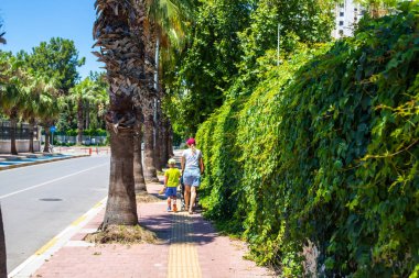 Tropik kaldırım. Günün sıcağında tatil alanında yürüyün. Yol boyunca palmiye ağaçları ve çit boyunca yeşil asma.