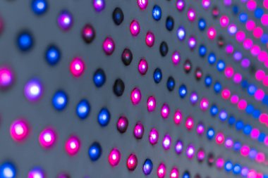 Led ışıklar. Aydınlatma için çok renkli ampuller. Renkli ışık dokusu. Renk Led arka ışık dizisi. Bir sürü küçük ampul.