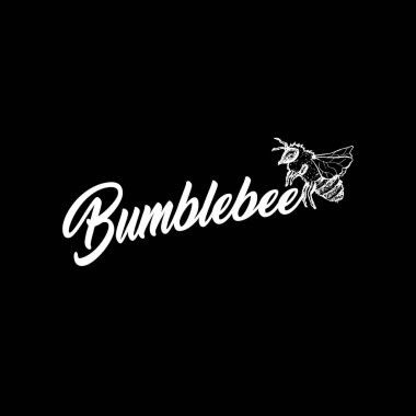 Bal arısı ve siyah arka plan üzerine beyaz yazı ile kara tahta kroki.