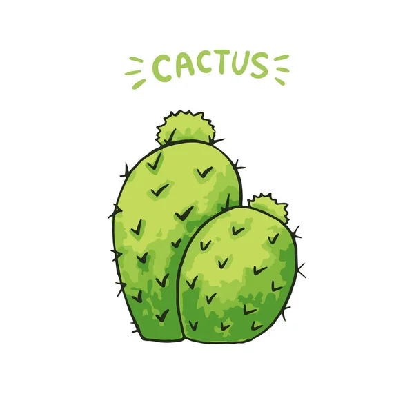 Mexikanska Cactus Med Taggar Isolerad Vit Bakgrund — Stock vektor
