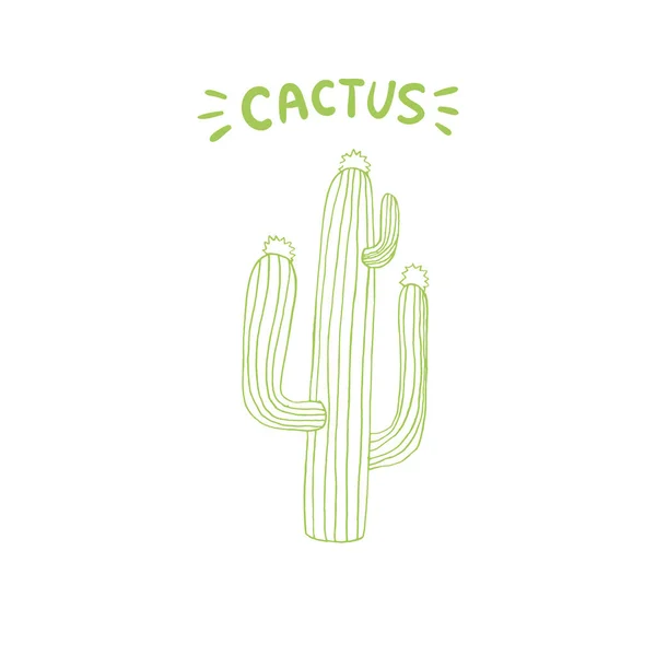 Cactus Mexicanos Estilo Doodle Elemento Arte Línea — Archivo Imágenes Vectoriales