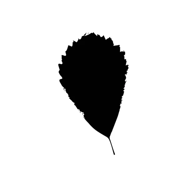 Black Silhouette Leaf Tree Isolated White Background — Stock Vector