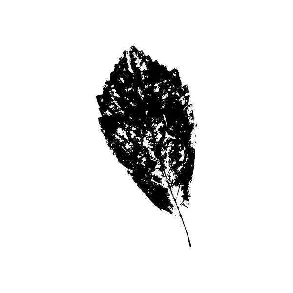 Silhouette Noire Avec Feuille Arbre Isolée Sur Fond Blanc — Image vectorielle