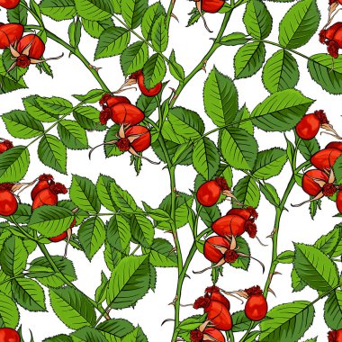 Dogrose Seamless modeli, lüks vahşi Briar Rose. Kuşburnu Romance kumaş Tekstil tasarımı kağıt, pamukçuk gül hediye çanta ve Bramble Paketleme ambalaj için beyaz arka plan ile