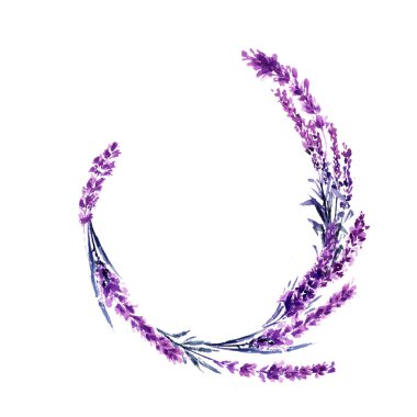 Lavanta hilal çiçek dalları suluboya resim. Lavanta twigs yuvarlak. Düğün ve Sevgililer günü tebrik kartı çiçek tasarım. Aşk ve evlilik. Lavanta hilal delikanlı. İzole raster
