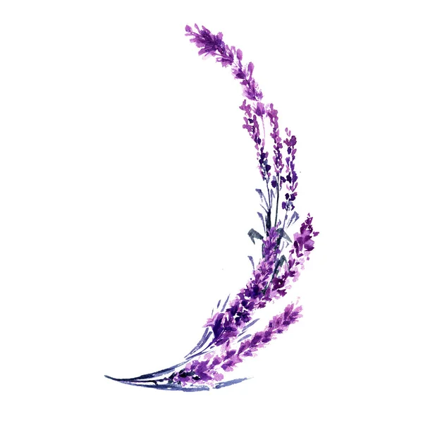 Lavender Branches Watercolor Illustration Delicate Flowers Twigs Wedding Invitations Floral — Stock Photo, Image