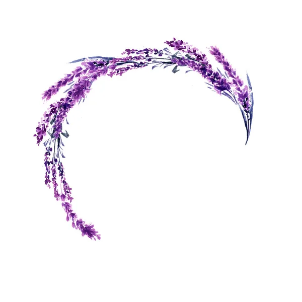 Lavender Crescent Flower Branches Watercolor Illustration Lavender Twigs Wedding Valentines — Stock Photo, Image