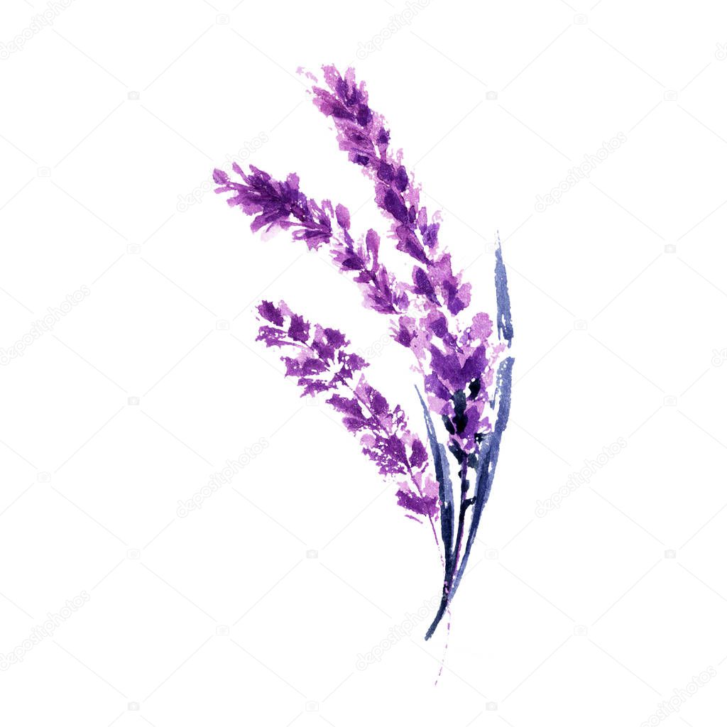 ilonitta
