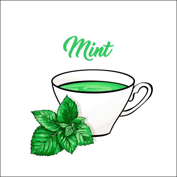 Tasse Thé Porcelaine Céramique Menthe Thé Vert Feuilles Thé Herbal — Image vectorielle