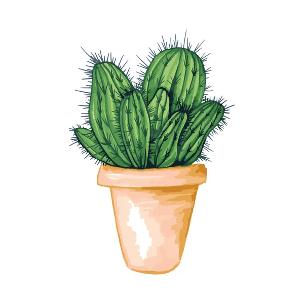Cactus Mexicano Con Espinas Espinas Flores Maceta Barro Como Clipart — Vector de stock