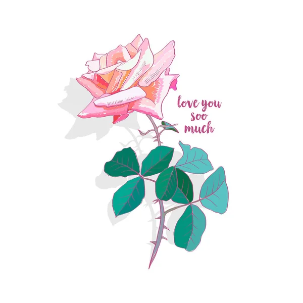 ピンクのバラの水彩画イラスト そんな書道を愛する トゲや葉をピンクのバラ 庭の花 バレンタインの日 グリーティング カード はがき カバー花柄のデザイン 分離色ベクトル — ストックベクタ