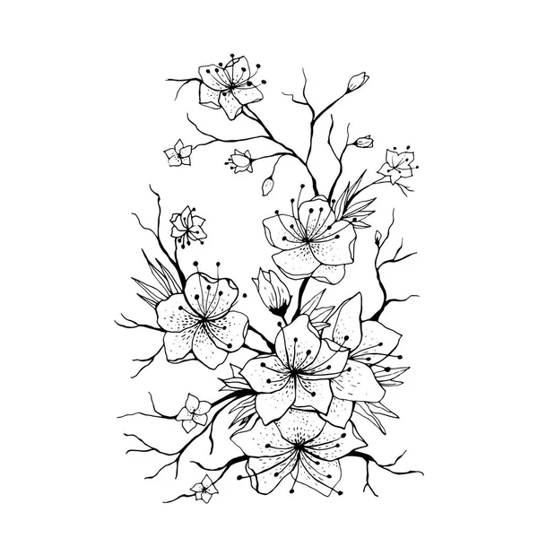 Рисунок Ветви Сакуры Японская Вишневая Ветка Розовые Цветы Почки Белом — стоковый вектор