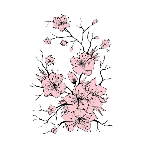 Ramo Sakura Disegno Mano Illustrazione Ramoscello Ciliegio Giapponese Fiori Rosa — Vettoriale Stock