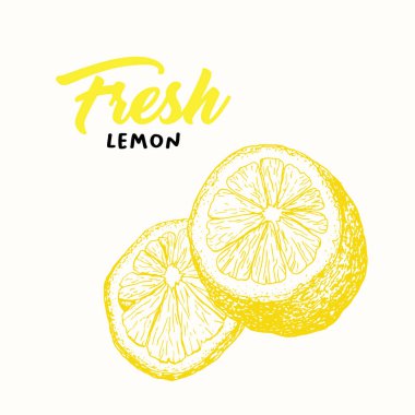 Taze limon renk vektör illüstrasyon
