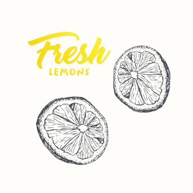 Taze limon vektör banner tasarım