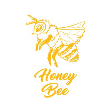 Bal arı sarı vektör anahat kroki