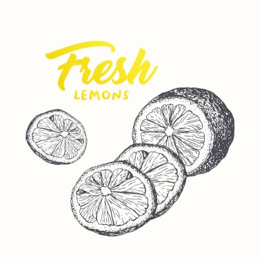 Taze limon vektör banner tasarım