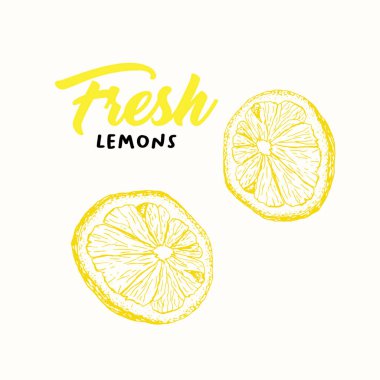 Taze limon renk vektör illüstrasyon