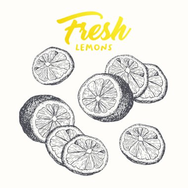 Taze limon vektör banner tasarım