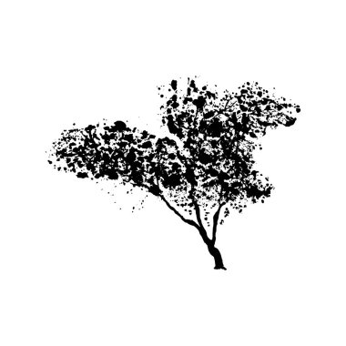 beyaz arkaplanda izole edilmiş yeşil ağaç